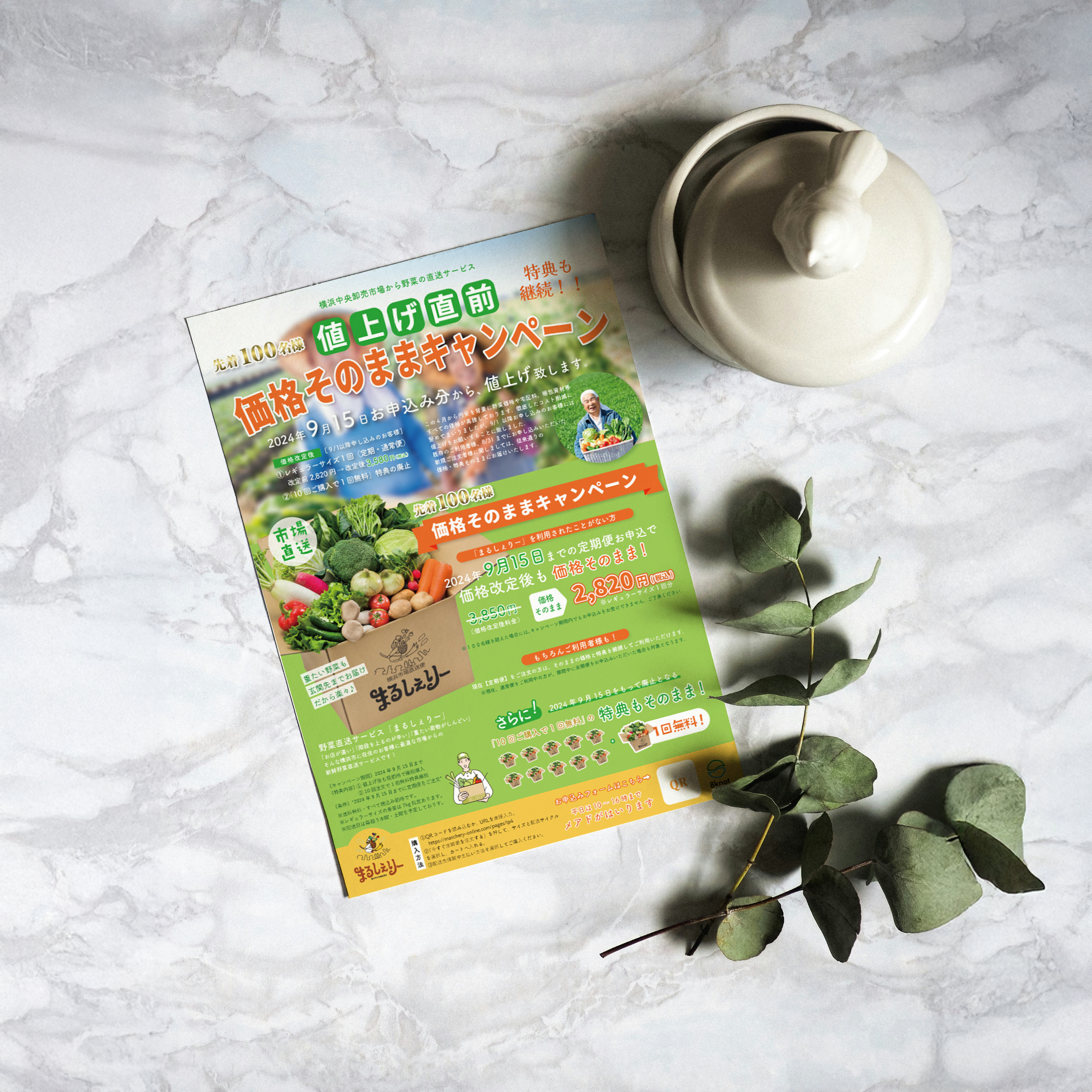 野菜_フライヤー